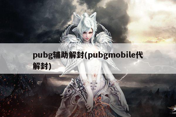 pubg辅助解封(pubgmobile代解封)