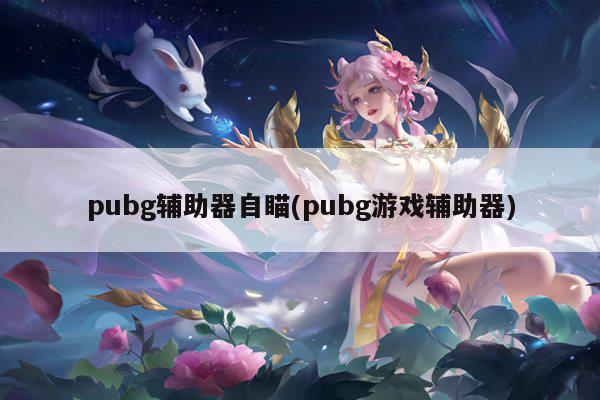 pubg辅助器自瞄