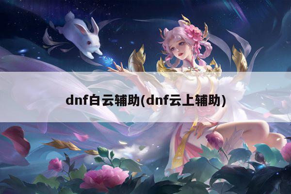 dnf白云辅助(dnf云上辅助)