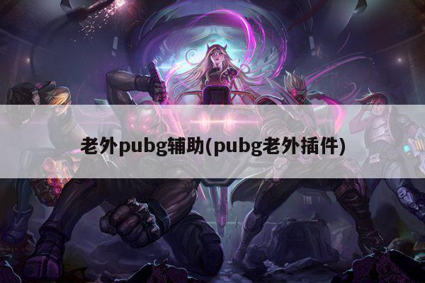 老外pubg辅助(pubg老外插件)